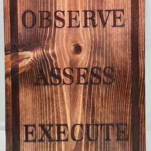 Observe Assess Execute
